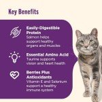 Rachael Ray Nutrish Senior Chicken & Salmon Cat Food