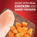 Real Chicken & Duck K9 Kabobs Dog Treats