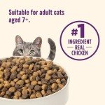 Rachael Ray Nutrish Senior Chicken & Salmon Cat Food