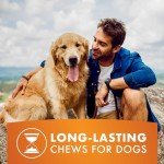 Real Chicken & Duck K9 Kabobs Dog Treats