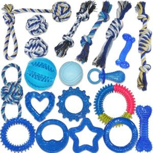 20-Piece Blue Puppy Toy Pack for Small Breeds
