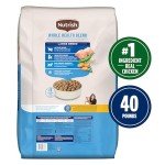 Rachael Ray Nutrish Large Breed Chicken & Veggie Dog Food