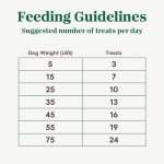 NUTRO Crunchy Dog Treats with Mixed Berries