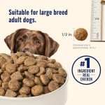Rachael Ray Nutrish Large Breed Chicken & Veggie Dog Food