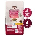 Rachael Ray Nutrish Everyday Digestion Dry Cat Food
