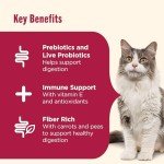 Rachael Ray Nutrish Everyday Digestion Dry Cat Food