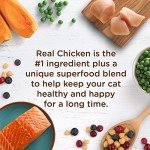 Rachael Ray Nutrish Longevity Natural Cat Food