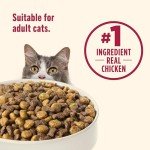 Rachael Ray Nutrish Everyday Digestion Dry Cat Food