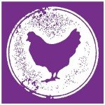 Dingo Twist Chicken Chew Sticks for Puppies