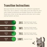 Rachael Ray Nutrish Everyday Digestion Dry Cat Food