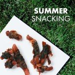 Chicken & Sweet Potato Jerky Dog Treats
