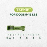 Mint Fresh Greenies Teenie Dental Dog Treats