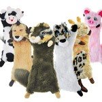 6-Pack Squeaky Plush Toys for Small Puppies