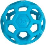 JW Pet Hol-ee Roller Ball Dog Toy - Small
