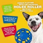 JW Pet Hol-ee Roller Ball Dog Toy - Small