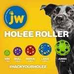 JW Pet Hol-ee Roller Ball Dog Toy - Small