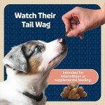 Blue Buffalo Salmon Dog Training Treats, 4 oz