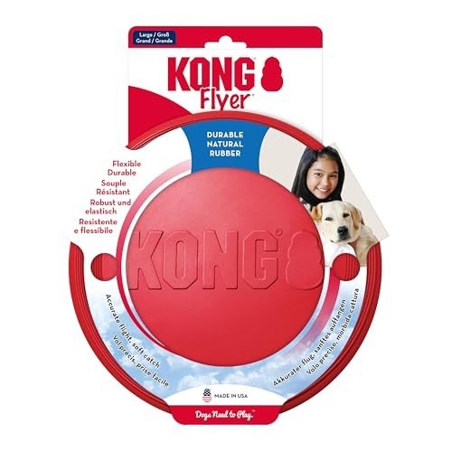 Top 10 Must-Have Toys for Active Dogs in 2025