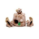 Hide-A-Squirrel Plush Dog Puzzle Toy, Medium