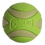 Max Glow Ultra Squeaker Ball for Puppies