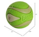 Max Glow Ultra Squeaker Ball for Puppies