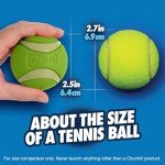 Max Glow Ultra Squeaker Ball for Puppies