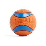 Chuckit! Ultra Ball Dog Toy for Large Dogs