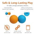 Squeaky Dog Balls - 2-Pack, 3-Inch