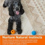 Squeaky Dog Balls - 2-Pack, 3-Inch