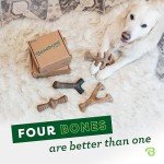 Benebone 4-Pack Chew Toys for Small Dogs