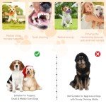 15-Piece Plush Squeaky Dog Toys Set