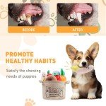 15-Piece Plush Squeaky Dog Toys Set