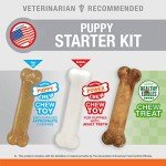 Nylabone Puppy Starter Kit: 2 Chew Toys & Treat