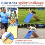 Complete Backyard Dog Agility Course Set