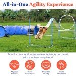 Complete Backyard Dog Agility Course Set