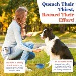 Complete Backyard Dog Agility Course Set