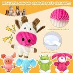 5 Pack Squeaky Plush Dog Chew Toys