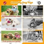 5 Pack Squeaky Plush Dog Chew Toys