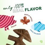 Benebone 4-Pack Chew Toys for Aggressive Chewers