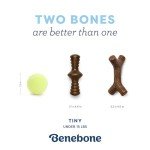 Benebone 2-Pack Puppy Chew Toys - Bacon & Maple