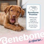 Benebone 2-Pack Puppy Chew Toys - Bacon & Maple