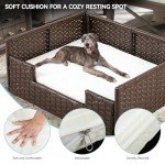 Cozy Rattan Dog Sofa Bed with Cushion