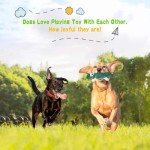 Squeaky Plush Dog Toys Set for Puppies