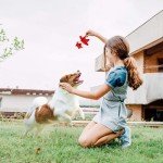 Squeaky Plush Dog Toys Set for Puppies