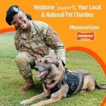 Nylabone Comfort Hold Beef X-Bone Puppy Toy