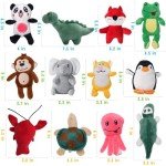 Squeaky Plush Dog Toys Set for Puppies