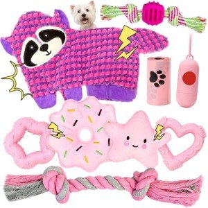 9 Pack Cute Squeaky Dog Toys for Puppies