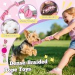 9 Pack Cute Squeaky Dog Toys for Puppies
