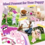 9 Pack Cute Squeaky Dog Toys for Puppies