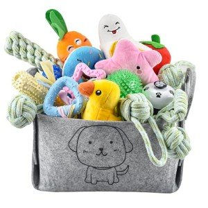 24-Pack Interactive Puppy Chew & Teething Toys